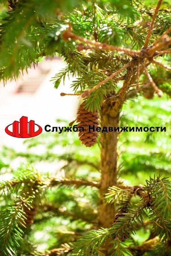 Купить дачу, дом, коттедж за 12 000 000 рублей на Пер. степной 3-й