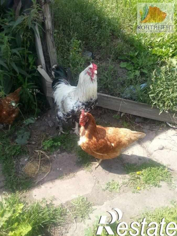 Коттедж/дом Колхозная