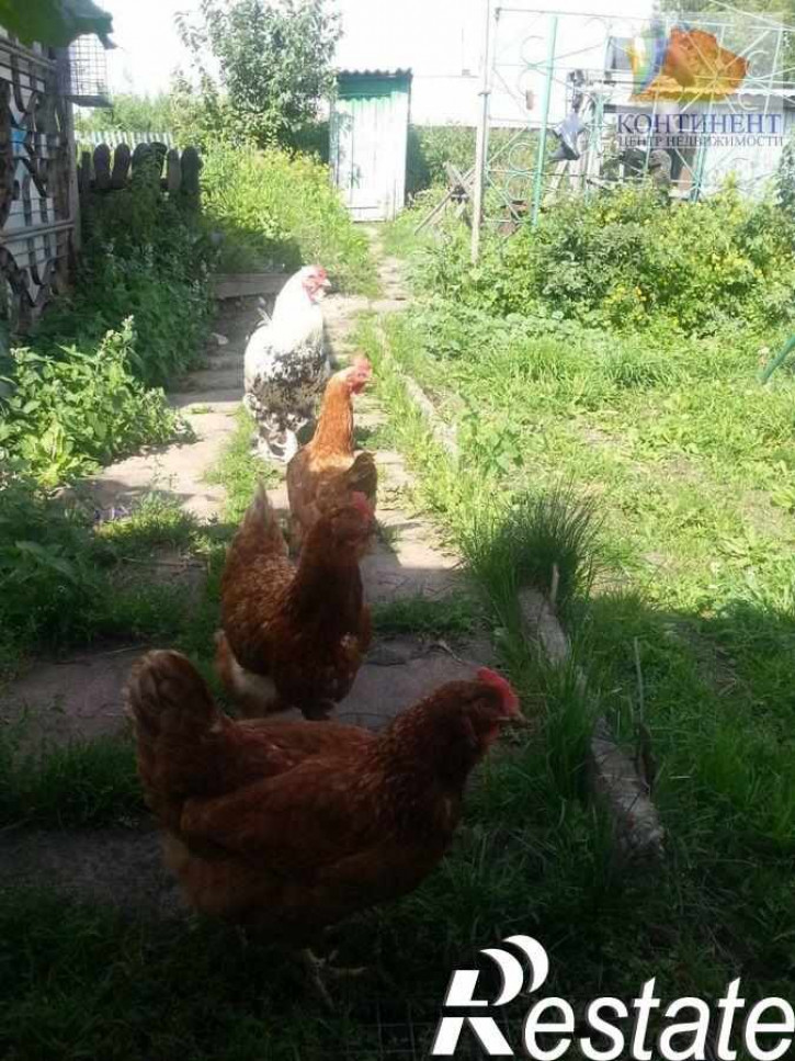 Коттедж/дом Колхозная