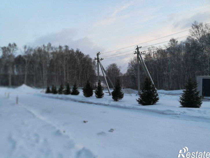 Студия Заслонова,6 стр