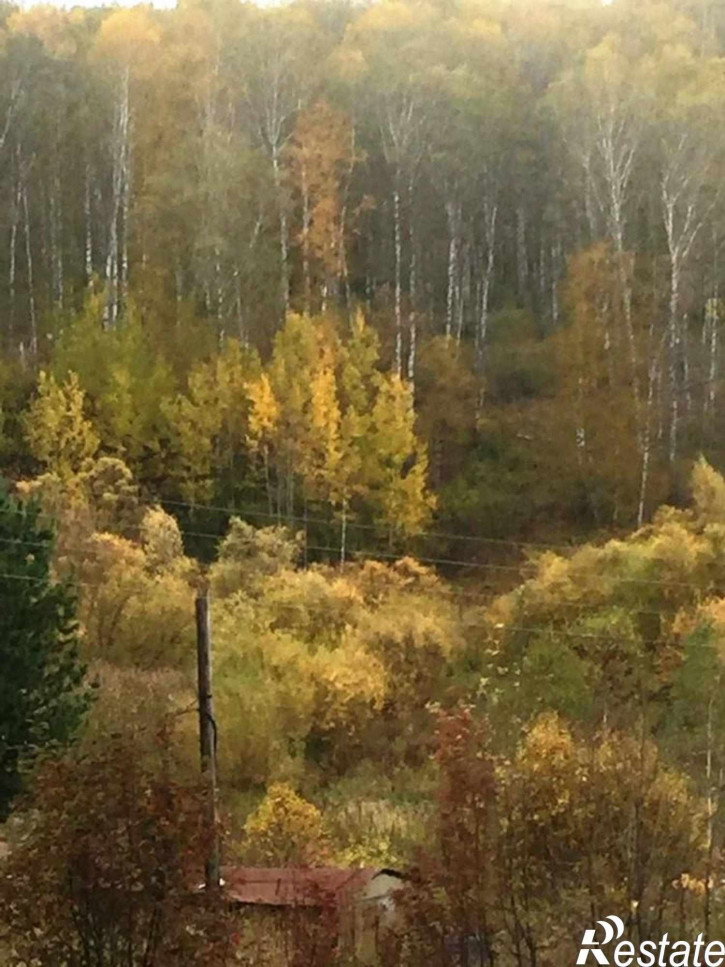 Коттедж/дом Комаровка