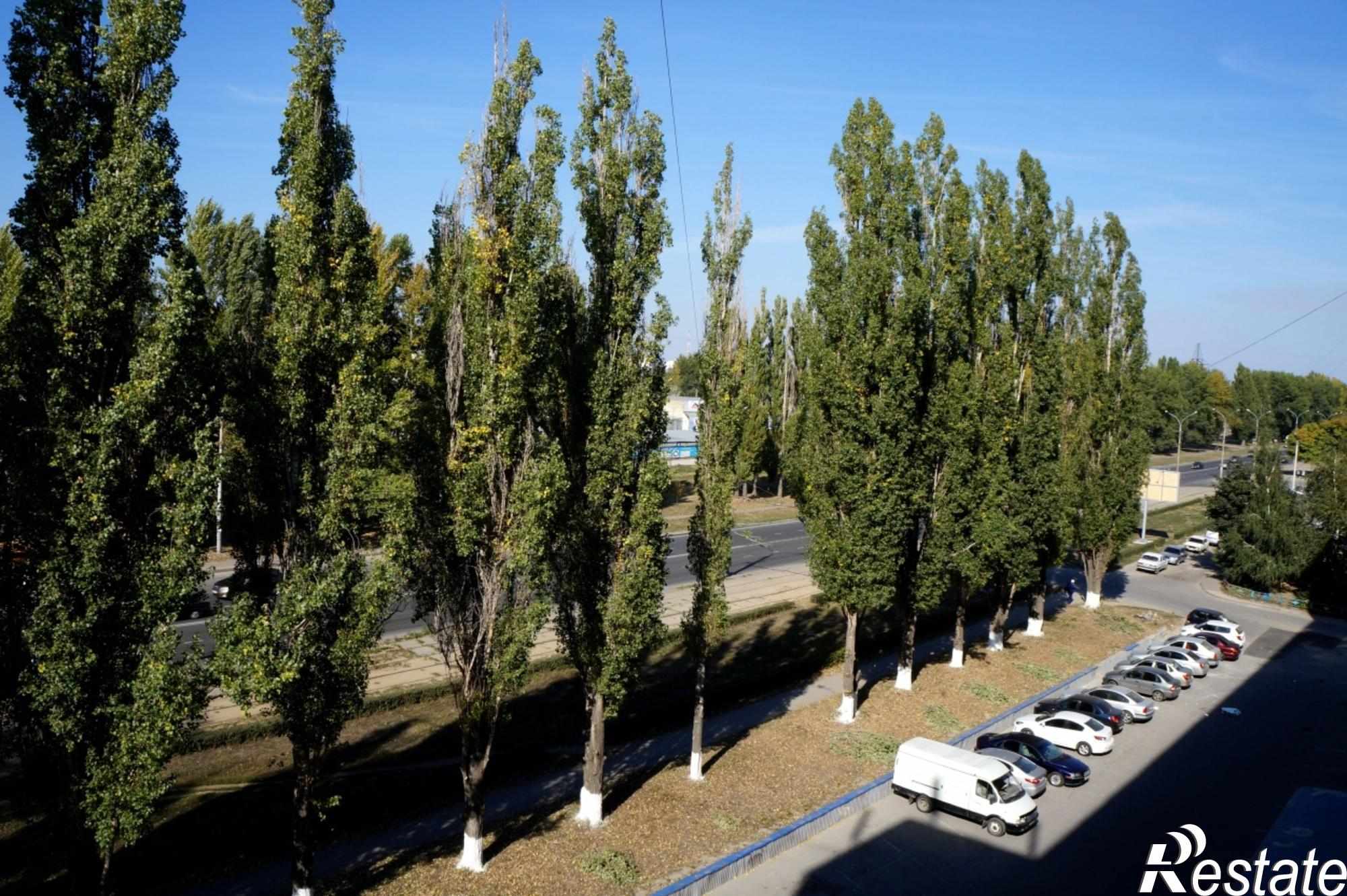 Сдать офис, помещение под офис за 55 000 рублей на ул. Пестеля, д. --