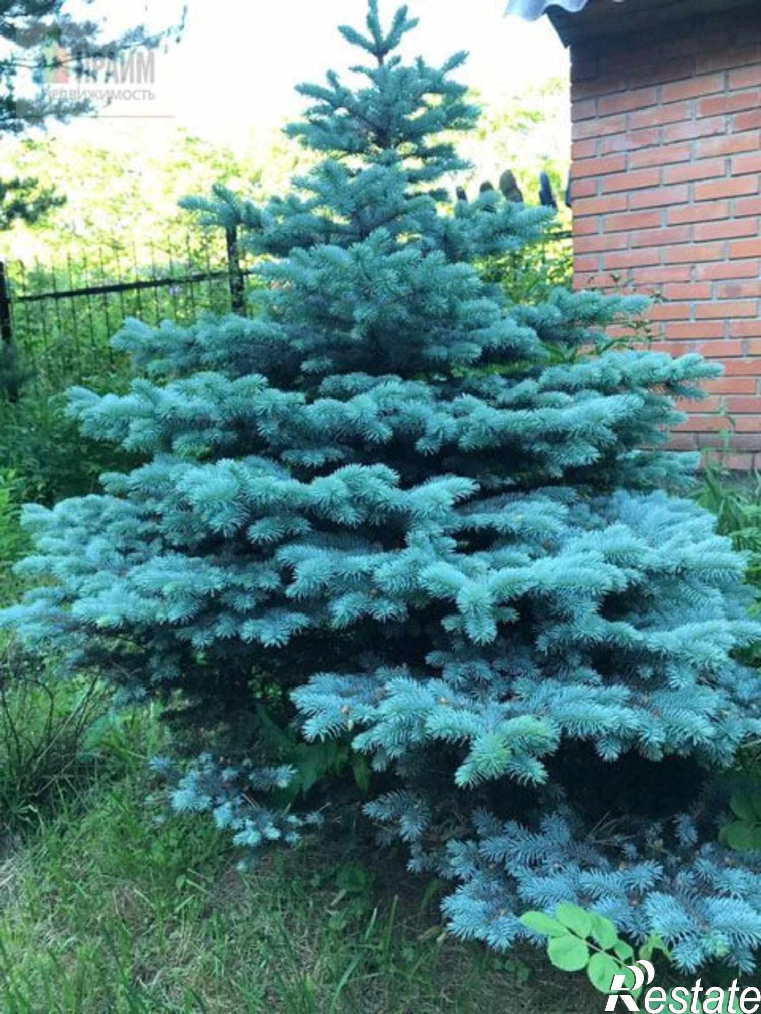 Купить дачу, дом, коттедж за 10 000 000 рублей на Боровая