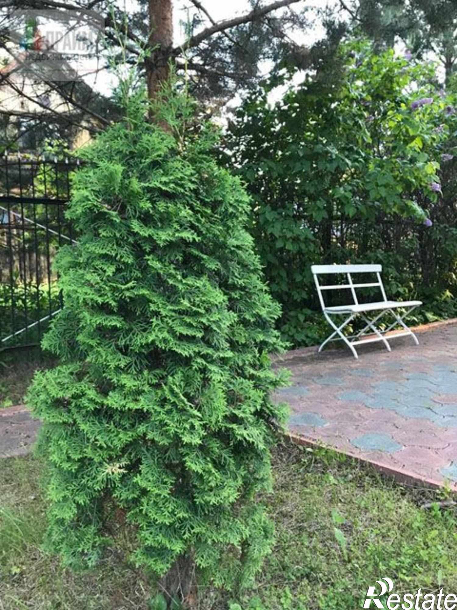 Купить дачу, дом, коттедж за 10 000 000 рублей на Боровая