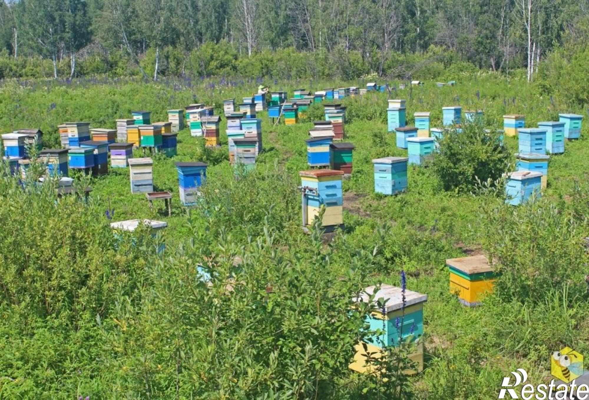 Купить землю, земельный участок за 200 000 рублей на Пушкинское с/п