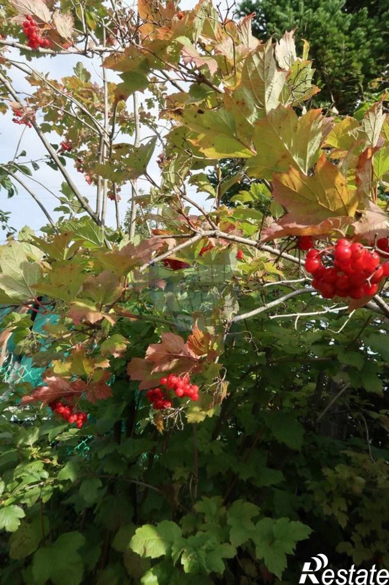 Купить дачу, дом, коттедж за 330 000 рублей на участок №344