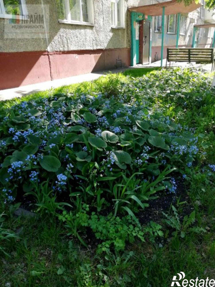 2-комн квартира пр-кт Октябрьский,64б