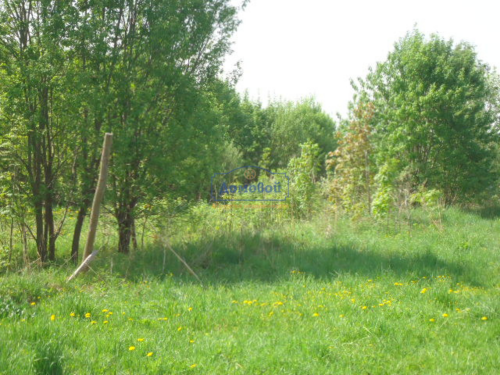 Продажа участка Григоровка дер.