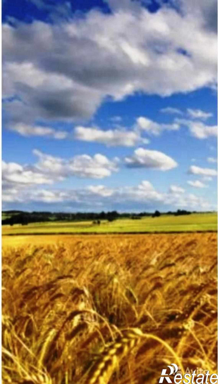 Земельный участок Хмелевка Село
