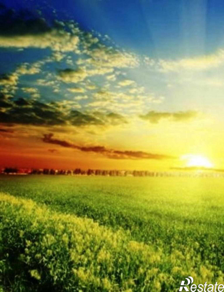 Земельный участок Хмелевка Село
