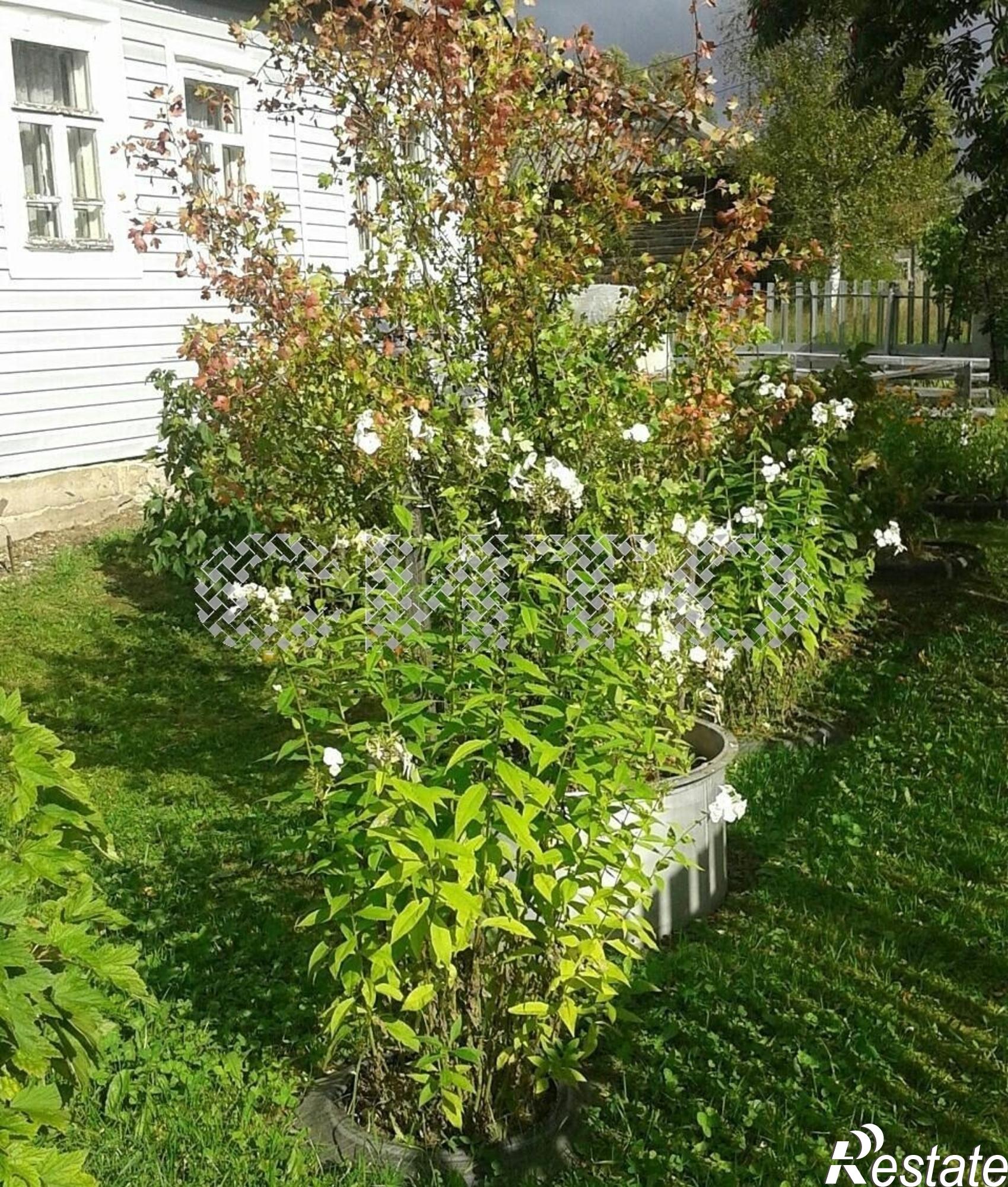 Купить дачу, дом, коттедж за 450 000 рублей на Визьма деревня,24
