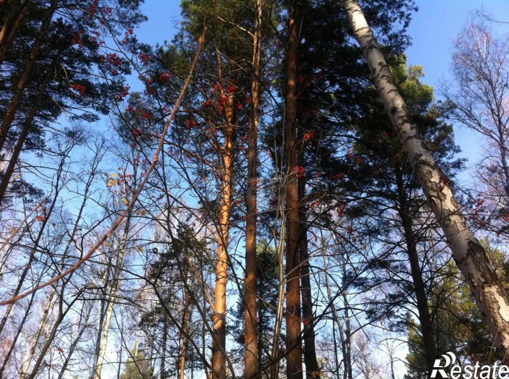 Купить дачу, дом, коттедж за 11 400 000 рублей на Пасечная улица