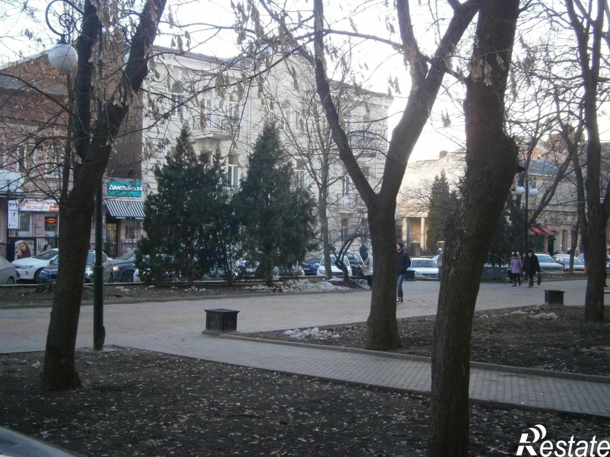 Купить квартиру за 20 000 000 рублей на Пушкинская улица, 135/33