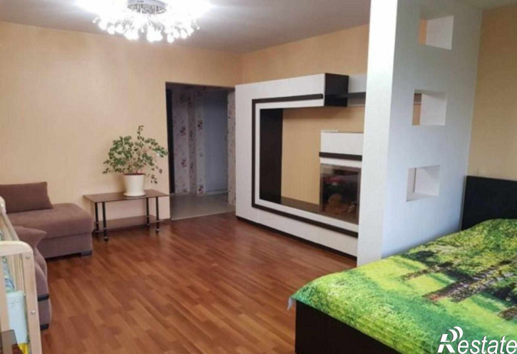 1-комн квартира ул. Татьяны Снежиной,49/1