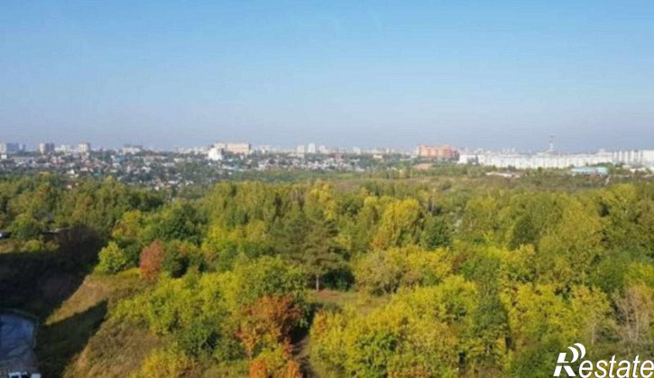 1-комн квартира ул. Татьяны Снежиной,49/1