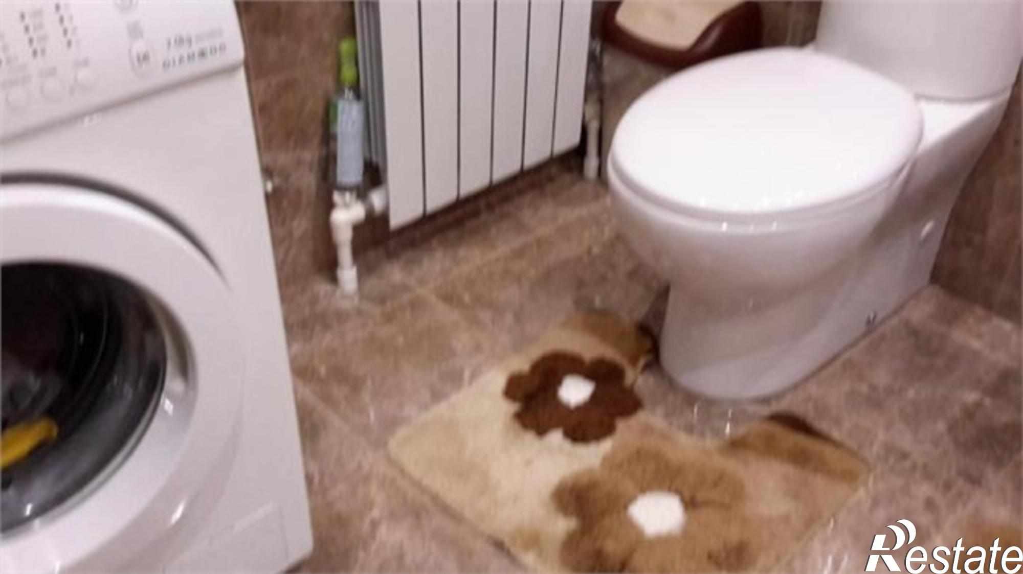 Купить дачу, дом, коттедж за 9 900 000 рублей на Речная улица, 787