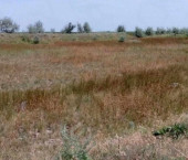 земля 8 сот центральная улица, 789