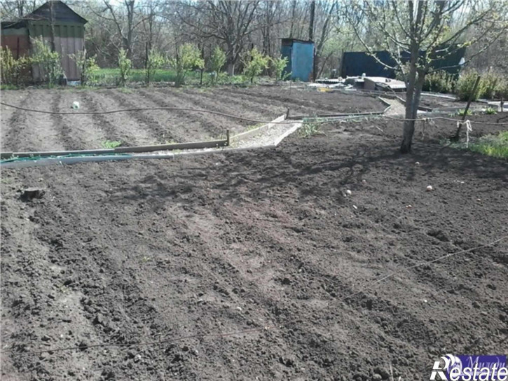 Коттедж/дом природы улица, 1005