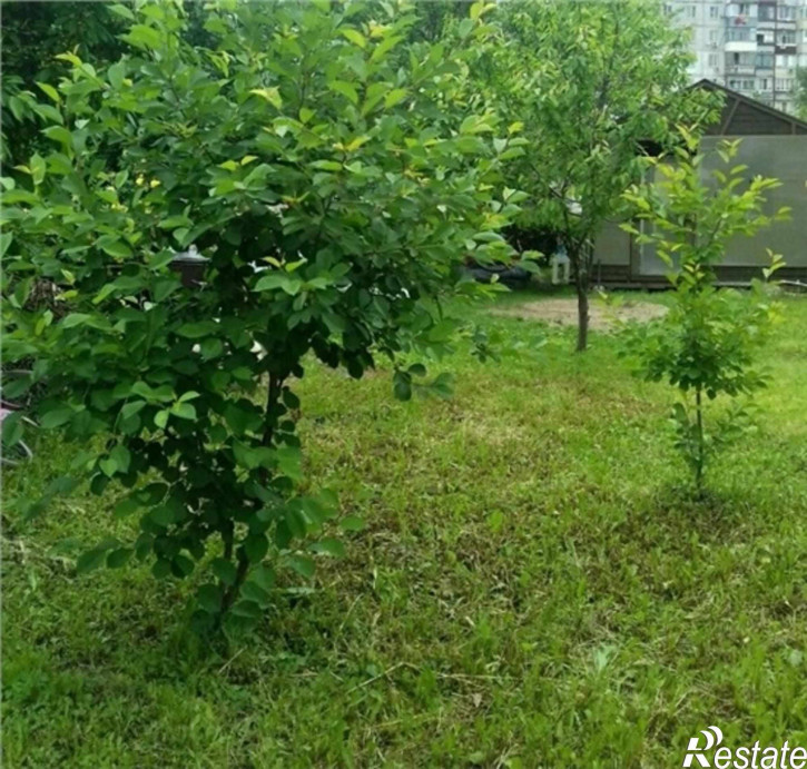 Земельный участок СЖМ улица, 100