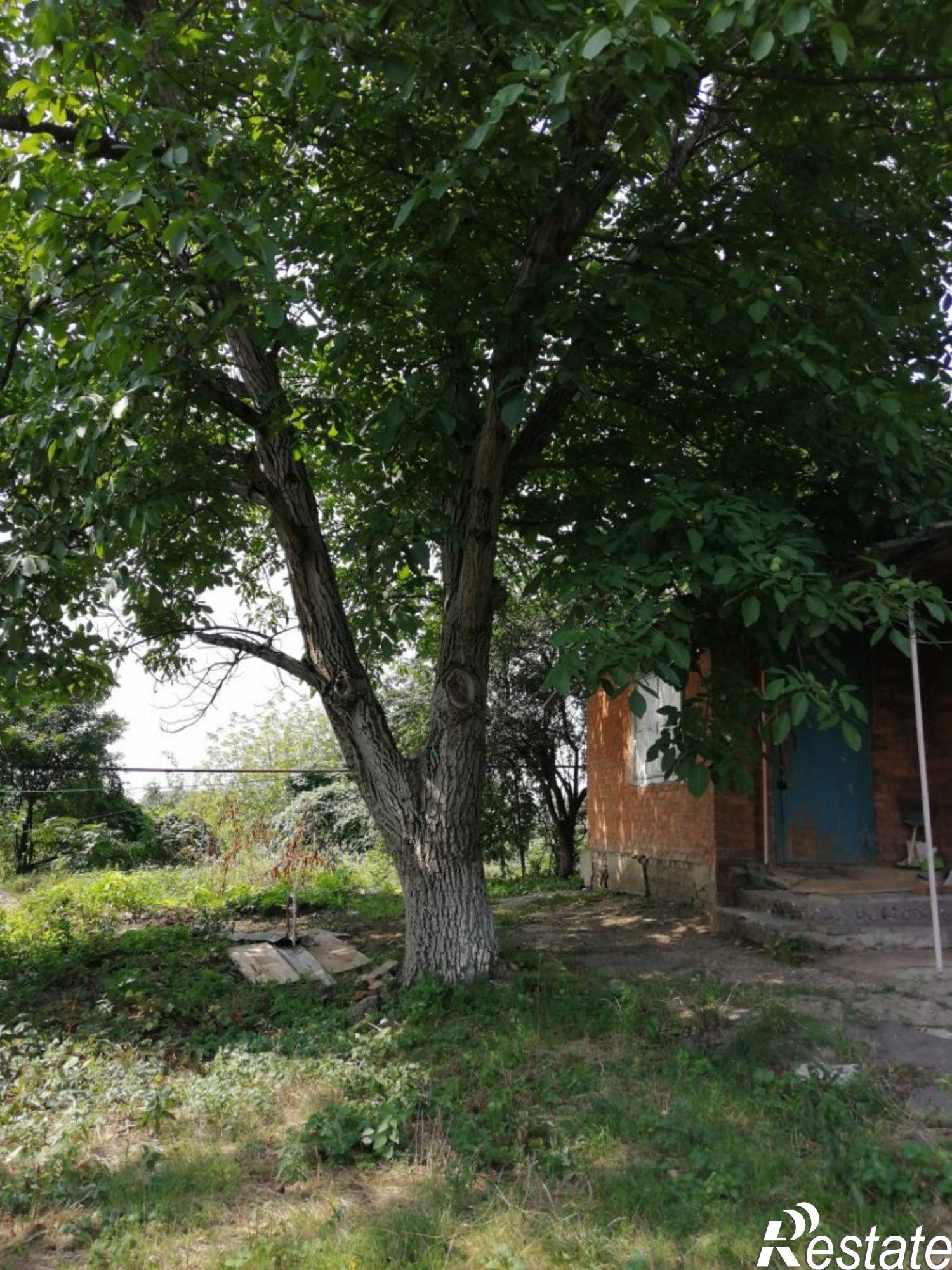 Купить дачу, дом, коттедж за 1 450 000 рублей на Красная 16