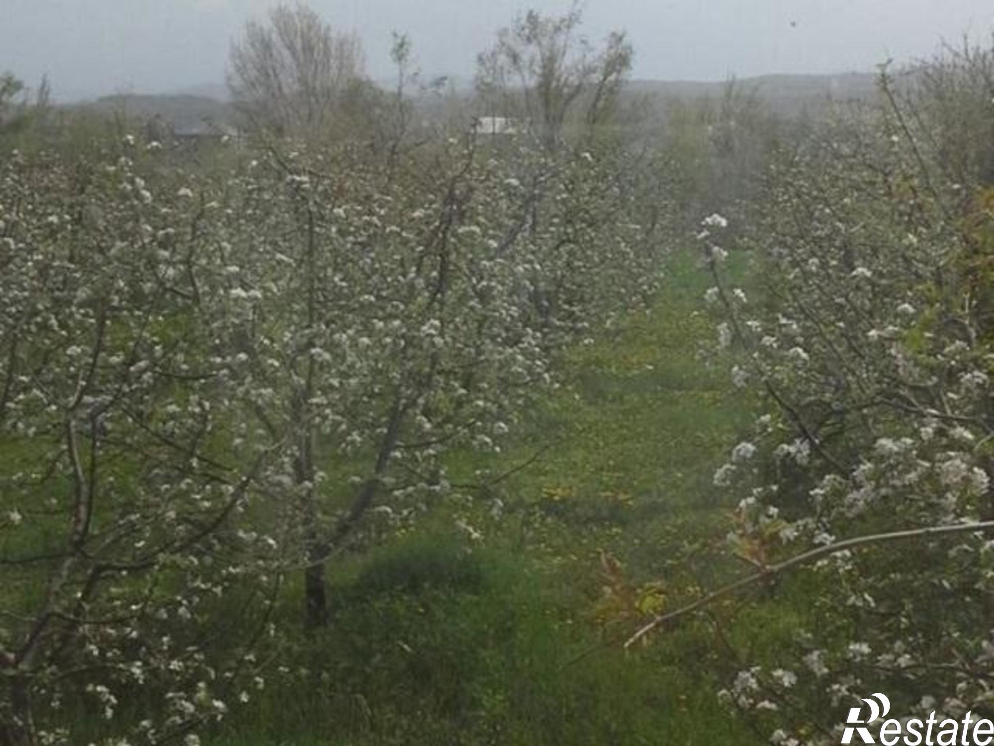 Купить дачу, дом, коттедж за 9 500 000 рублей на улица Ленина