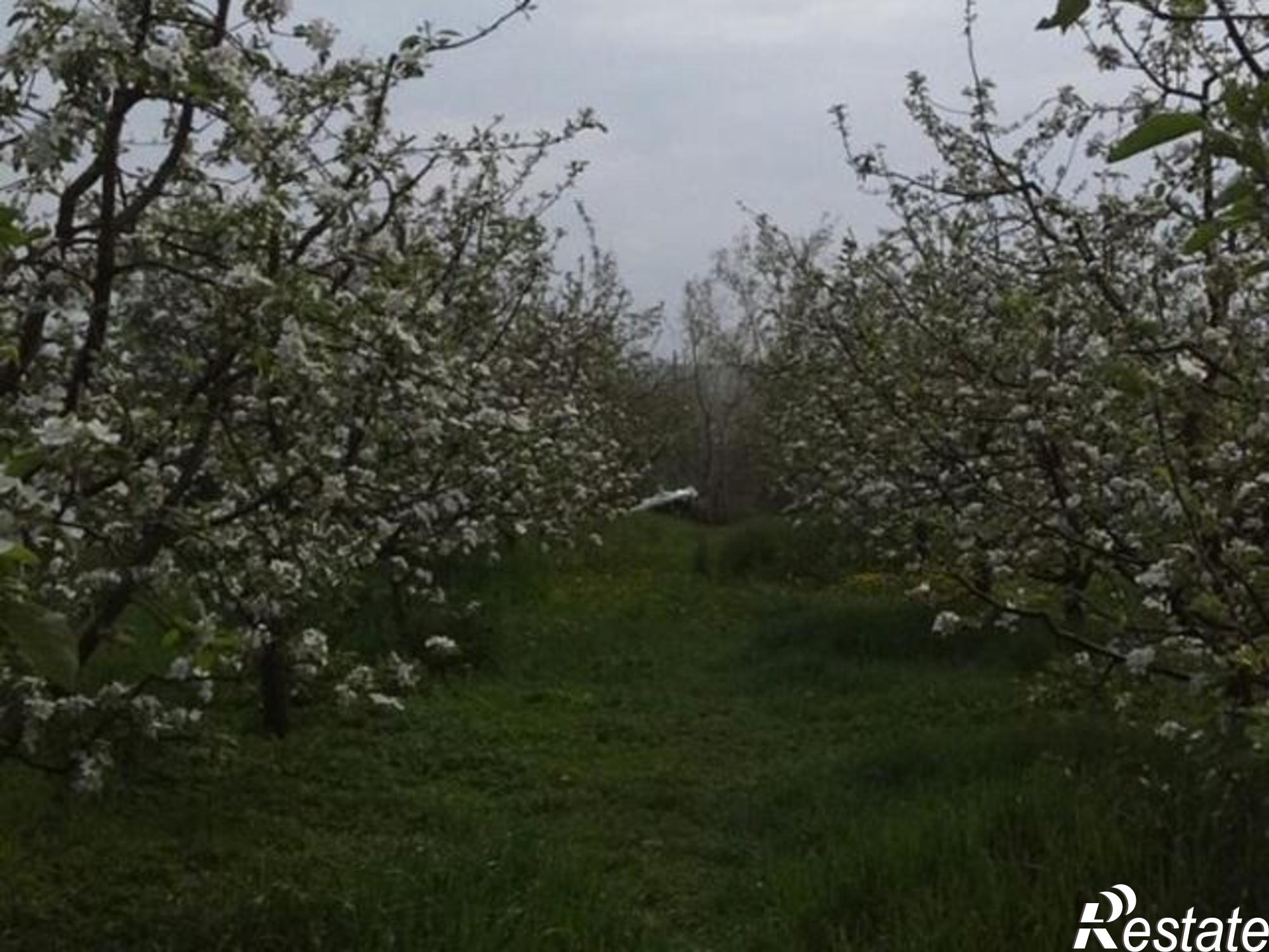 Купить дачу, дом, коттедж за 9 500 000 рублей на улица Ленина