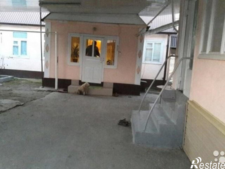 Коттедж/дом Александровка