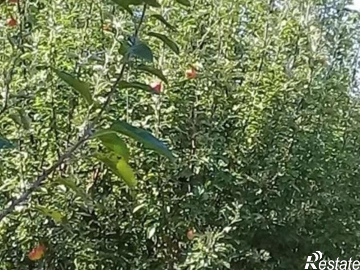 Коттедж/дом Нальчик