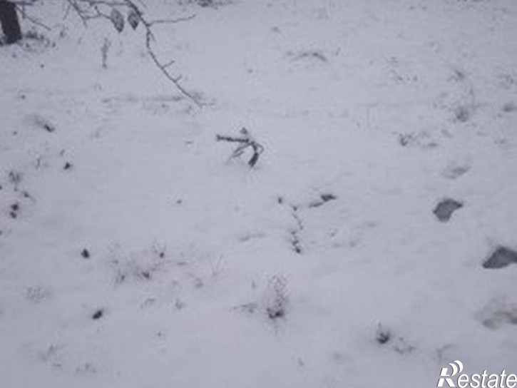 Коттедж/дом Ленина проспект, д.32