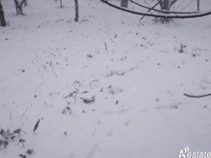 Коттедж/дом Ленина проспект, д.32