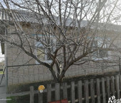 коттедж 62 кв м Ленина ул, 23