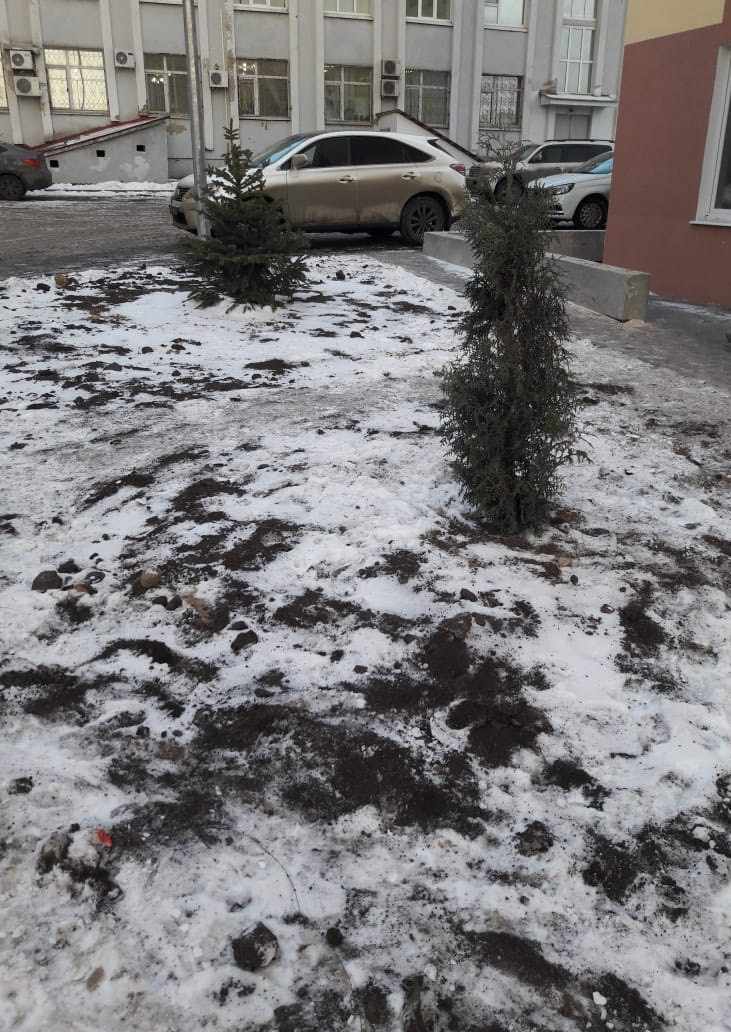 Статус