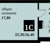 Дом Академика