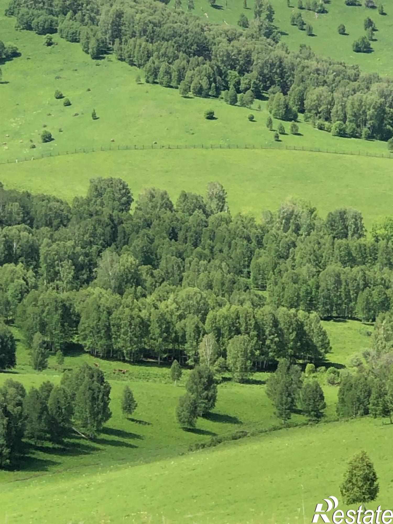 Купить ОСЗ, отдельно стоящее здание за 120 000 000 рублей на Алтайская ул., 80