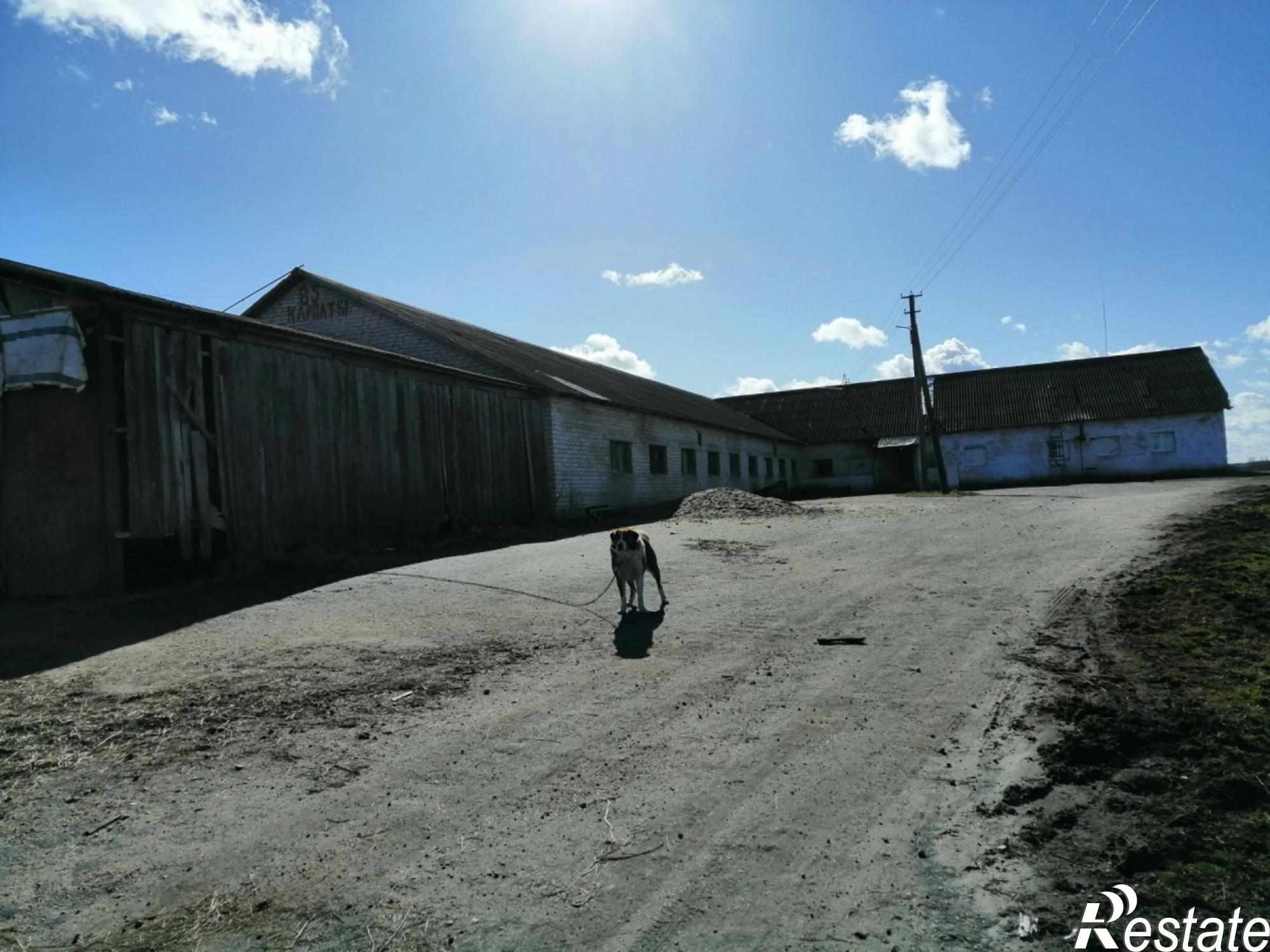 Купить производственную площадь за 6 500 000 рублей на Псковская область, Палкинский район деревня Ягодкино