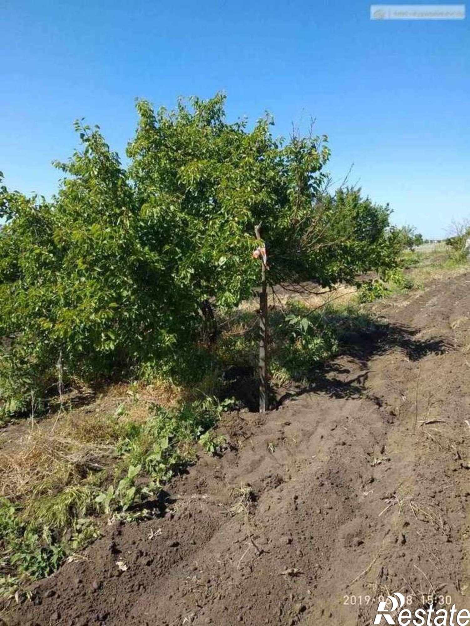 Купить землю, земельный участок за 300 000 рублей на Софьино село