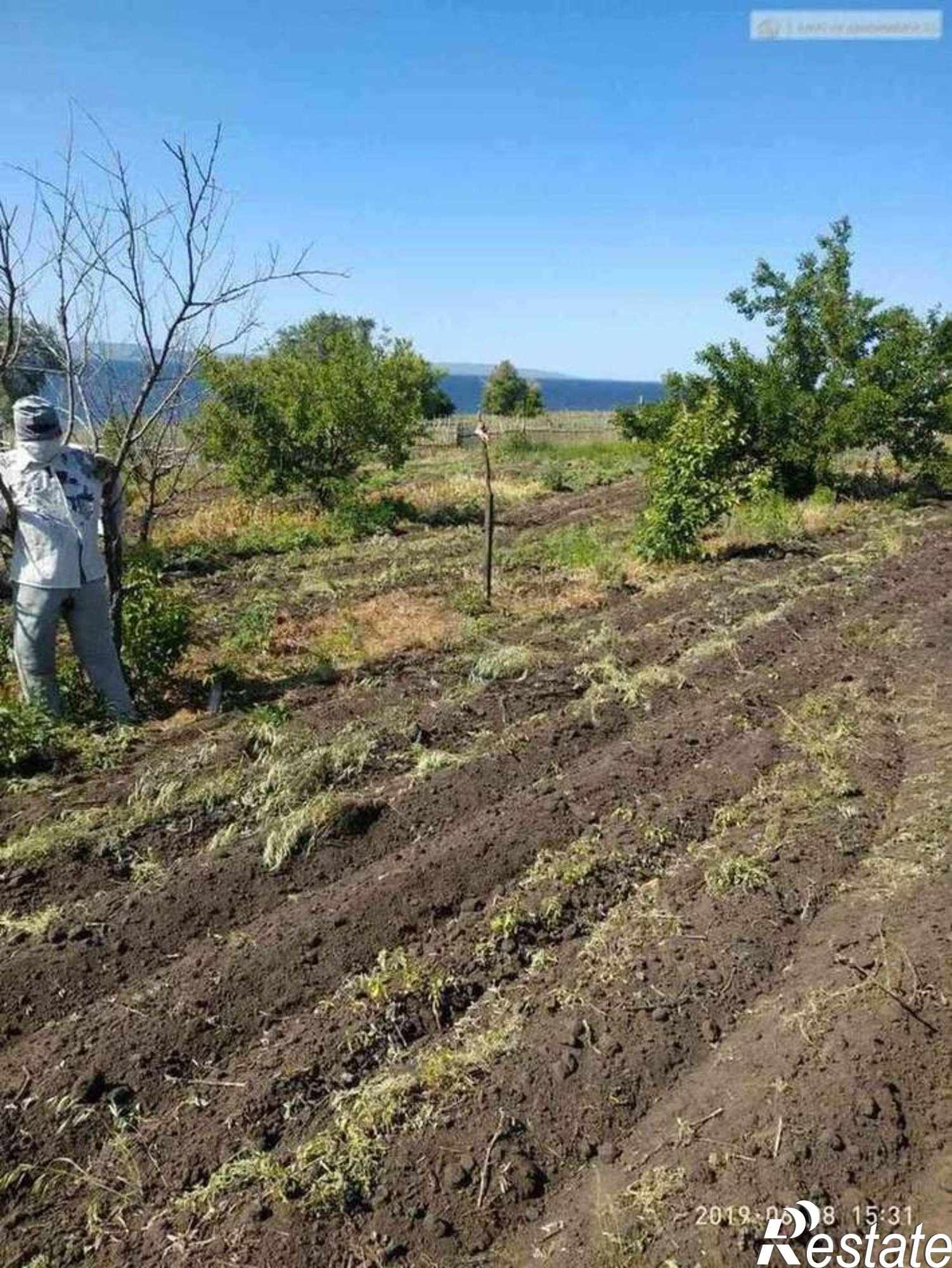 Купить землю, земельный участок за 300 000 рублей на Софьино село