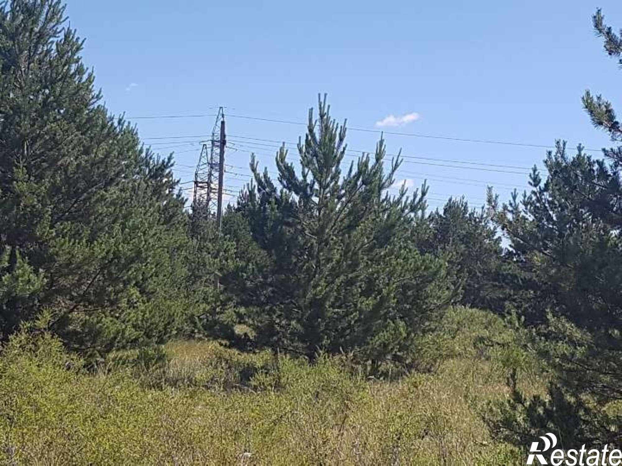 Купить землю, земельный участок за 8 000 000 рублей на Курумоч село