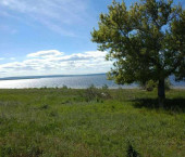 земля 30 сот Софьино село