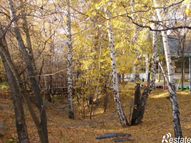 Помещение свободного назначения р-н, Большой Рязани