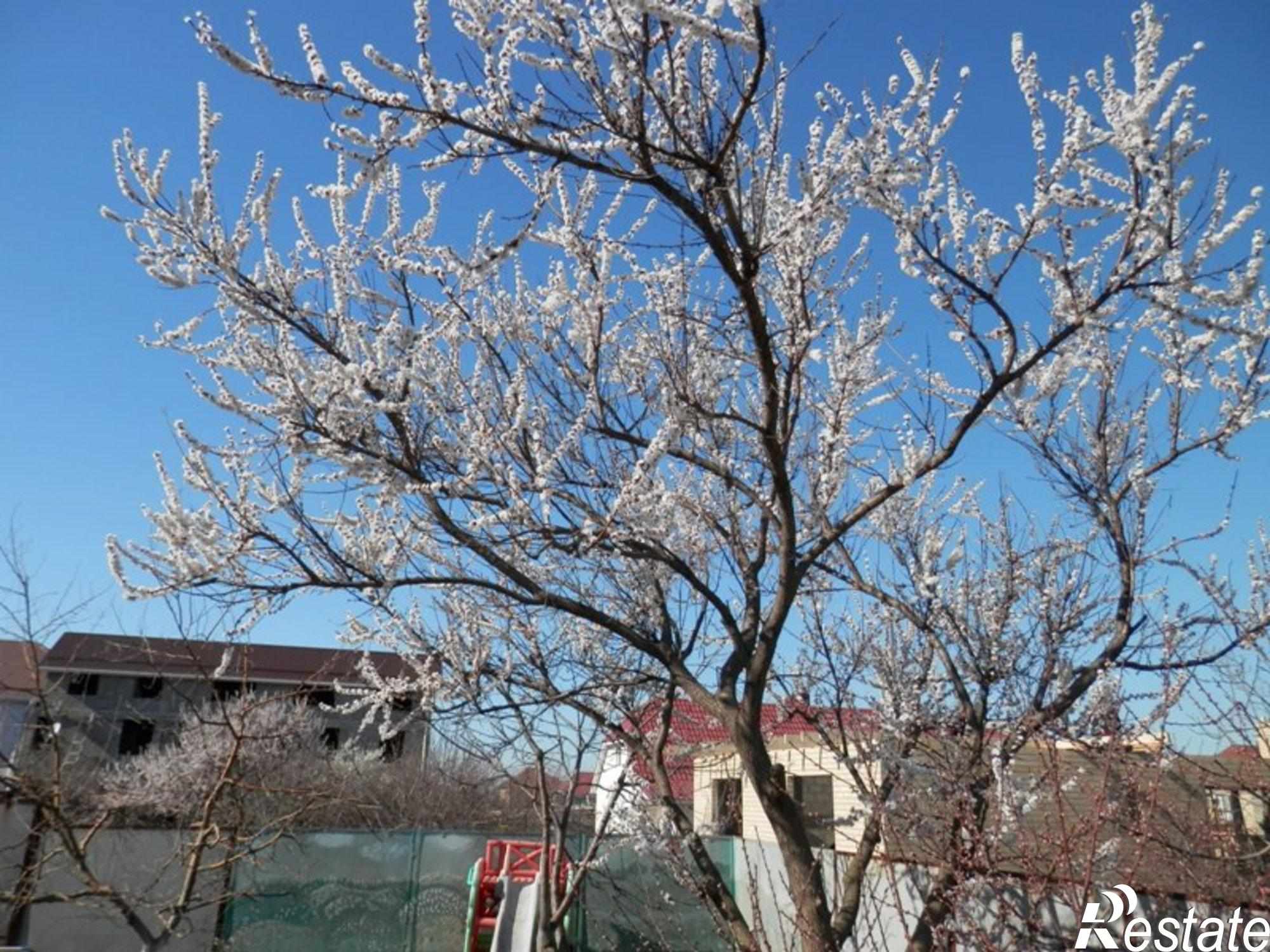 Купить дачу, дом, коттедж за 22 000 000 рублей на п. Супсех