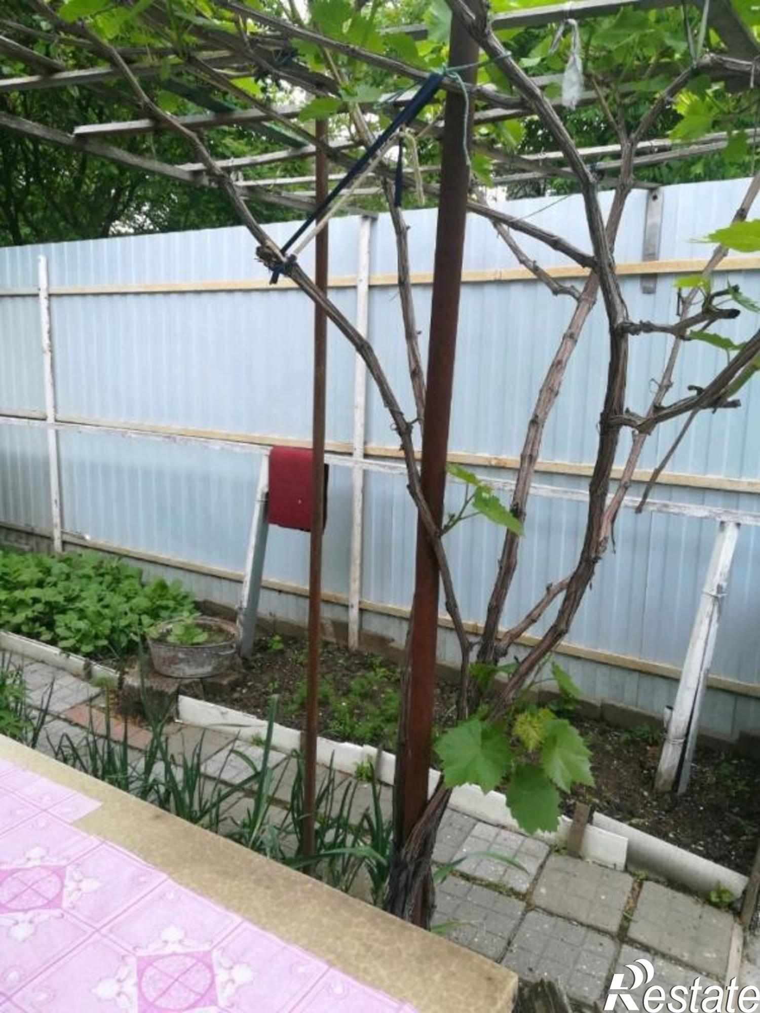 Купить дачу, дом, коттедж за 4 600 000 рублей на Южный рынок