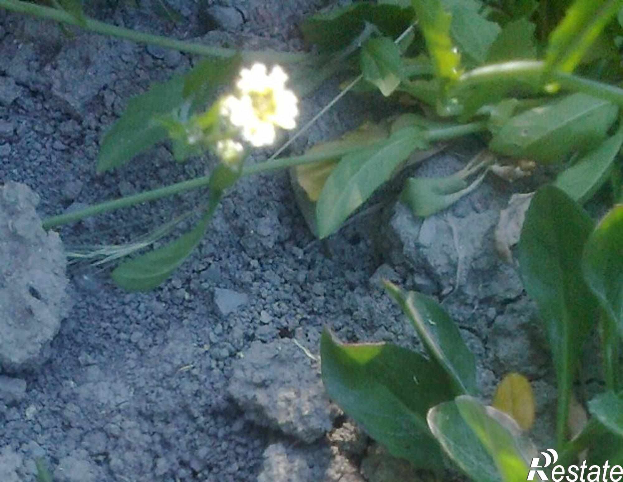 Купить дачу, дом, коттедж за 4 600 000 рублей на Южный рынок