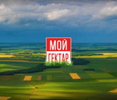земля 110 сот п. Цибанобалка