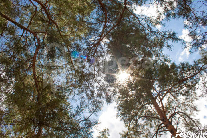 Земельный участок снт. Авангард