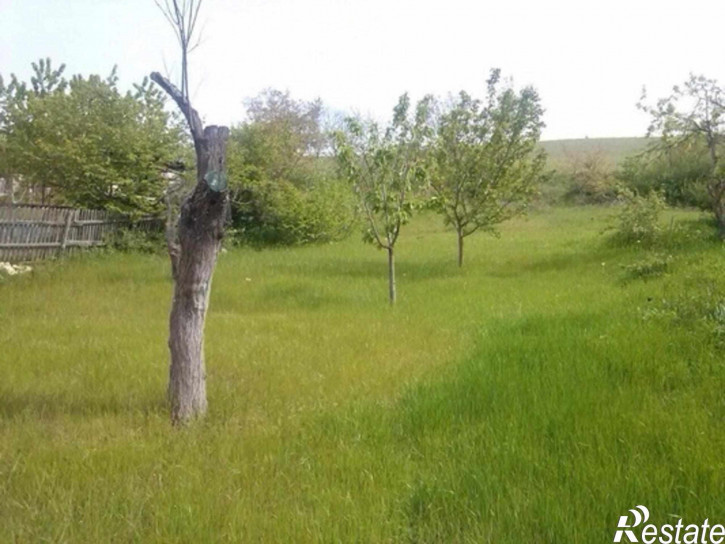 Коттедж/дом п. Сукко