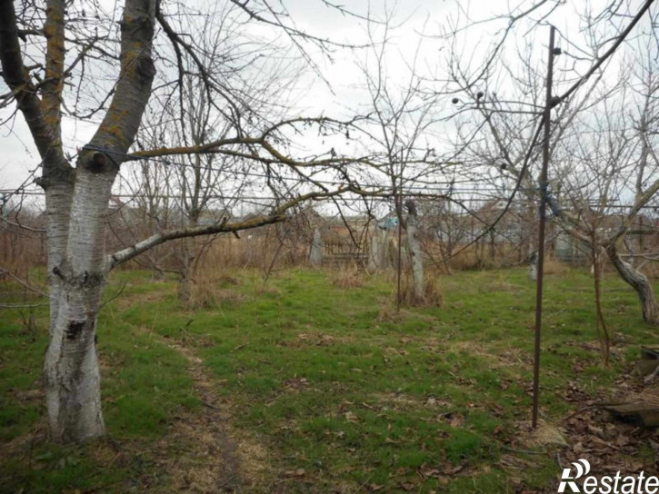 3-комн квартира Ореховая роща, 48