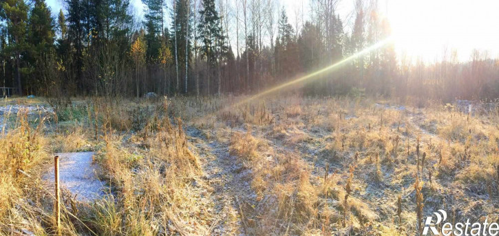 Земельный участок деревня Ворсино