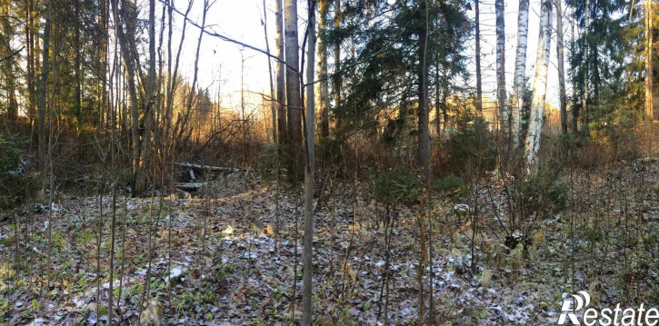 Земельный участок деревня Ворсино