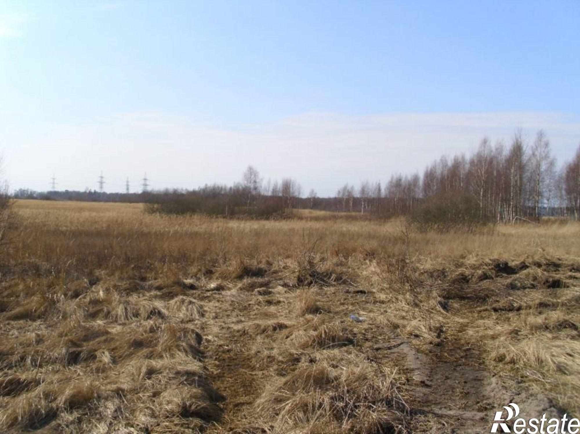 Купить землю, земельный участок за 1 200 000 рублей на Центральная ул
